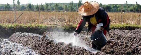 bón vôi nông nghiệp cho đất