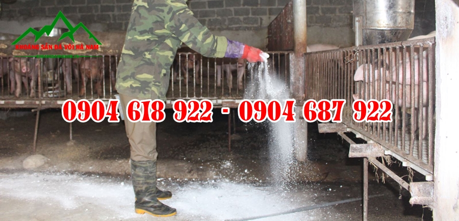 Voi-khu-trung-tai-Ha-Noi (2)