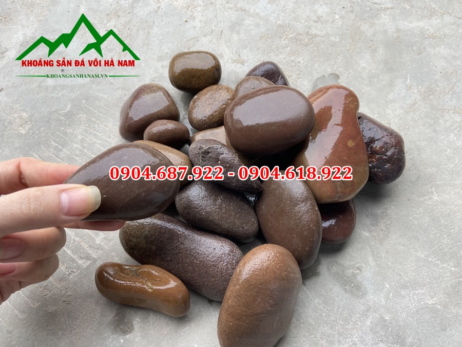 bán sỏi hồng tại hà nội