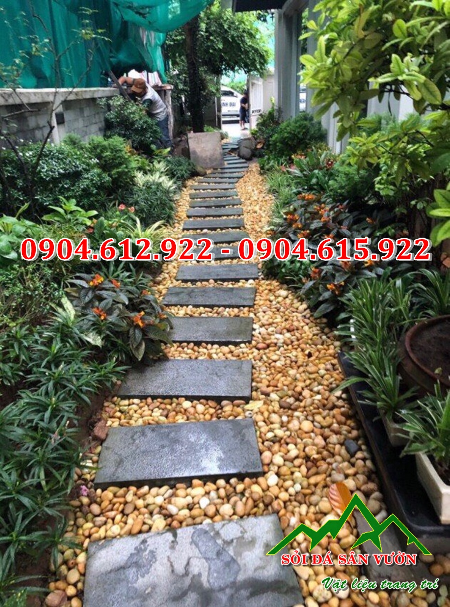 sỏi vàng tự nhiên rải lối đi sân vườn