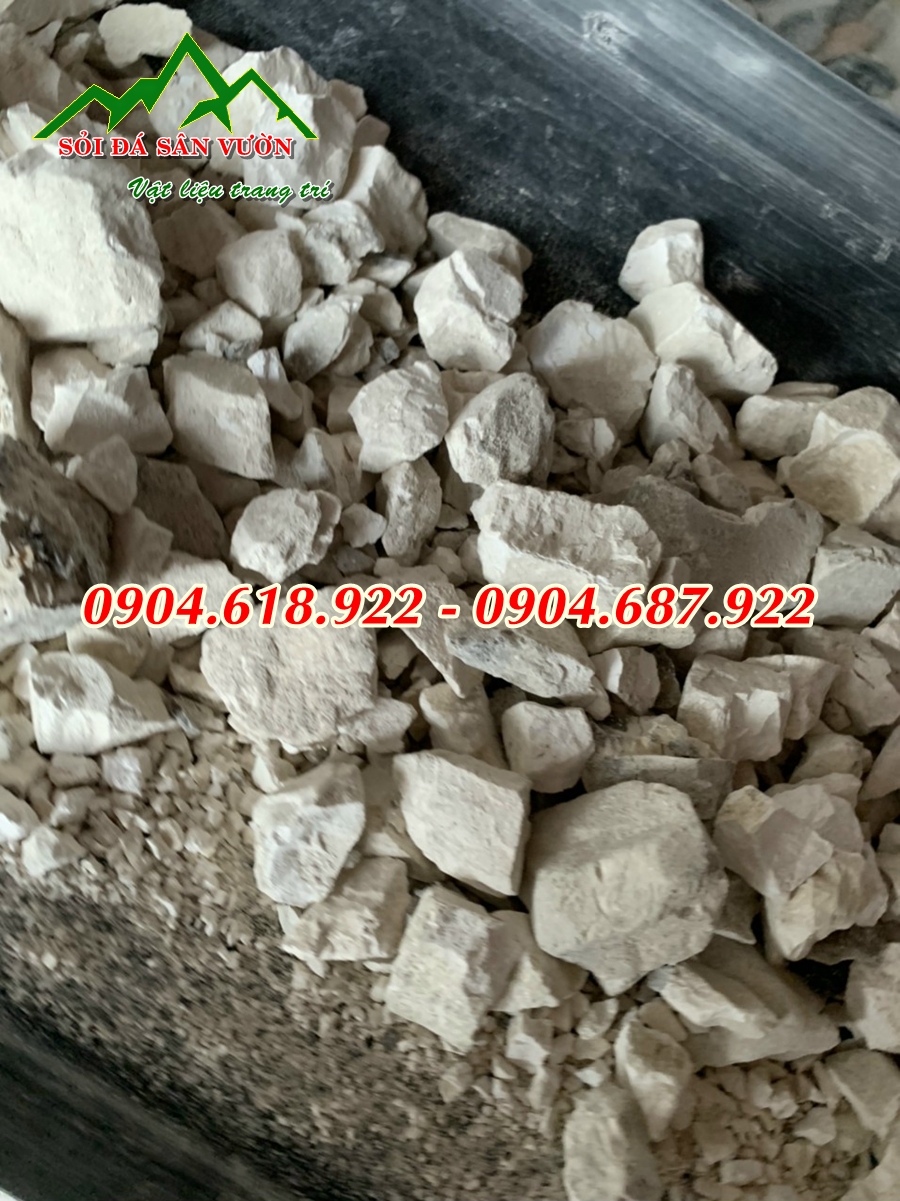 1kg-voi-cuc-co-gia-bao-nhieu (4)