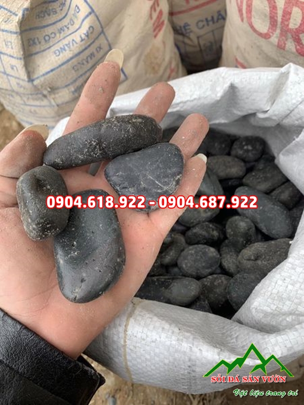 ban-da-soi-trang-tri-tai-ha-noi (1)