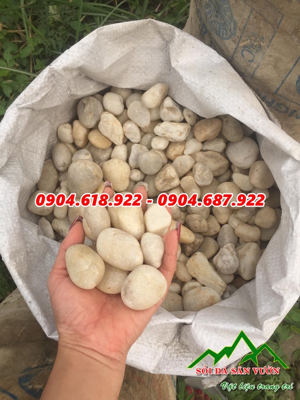 ban-da-soi-trang-tri-tai-ha-noi (2)