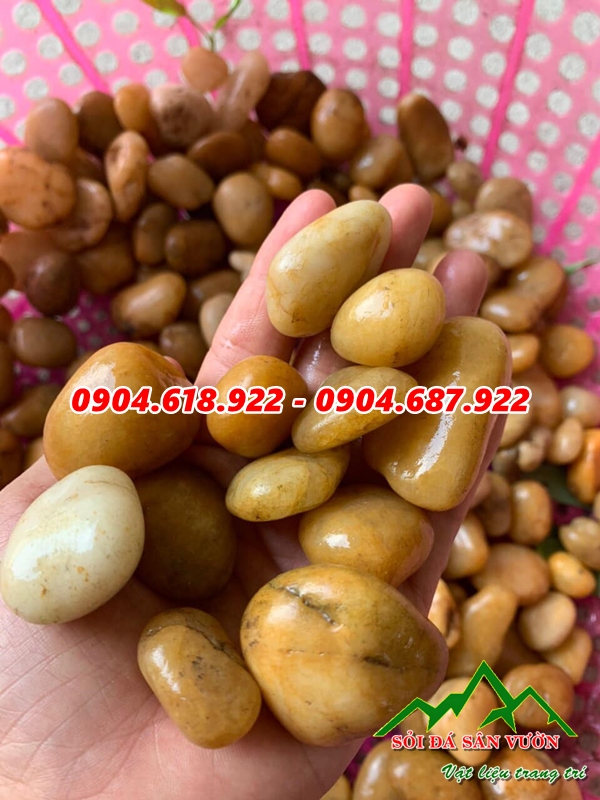 ban-da-soi-trang-tri-tai-ha-noi (3)