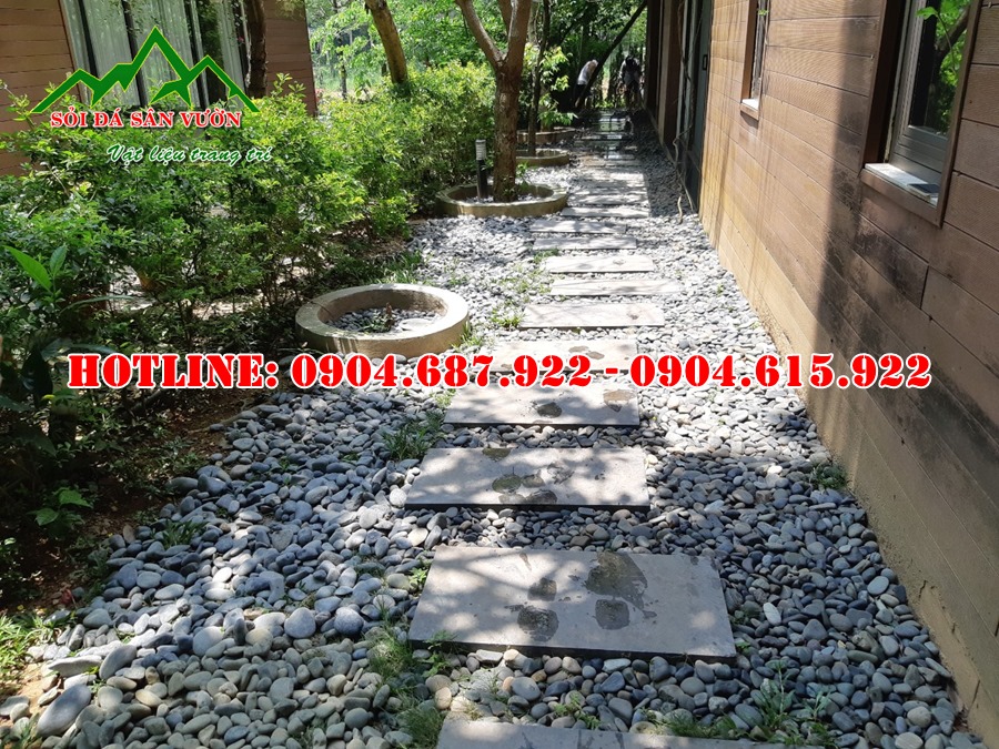 Bán sỏi đen trang trí