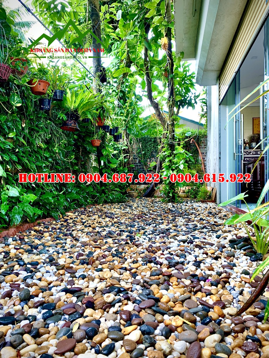 bán sỏi đen rải sân vườn