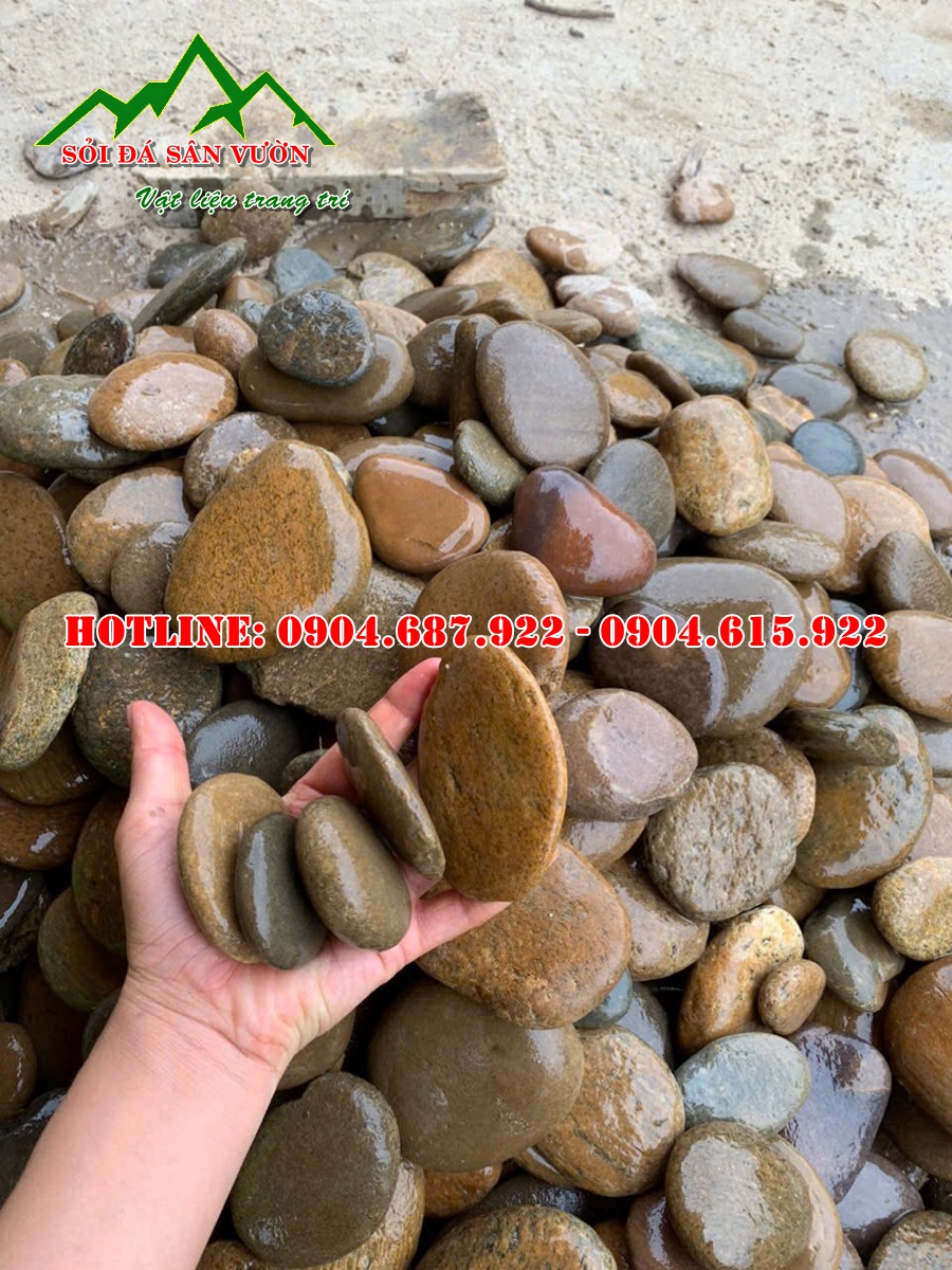 cung cấp sỏi gắn tường