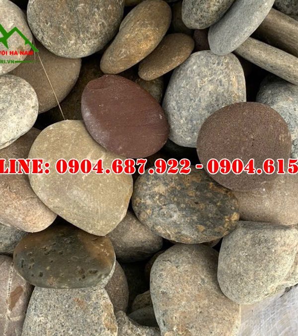 tìm mua sỏi gắn tường