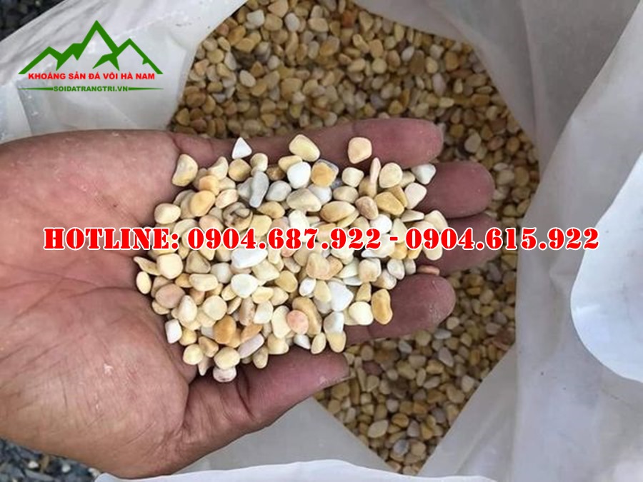 Sỏi vàng làm sàn đá rửa