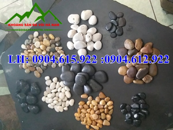 bap-gia-soi-trang-tri-dep-2026