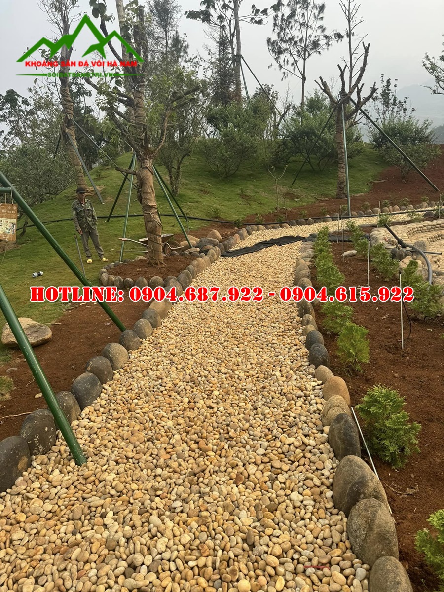 Sỏi cuội vàng trang trí sân vườn biệt thự