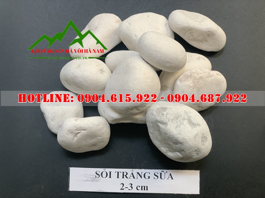soi-trang-trang-tri-san-vuon
