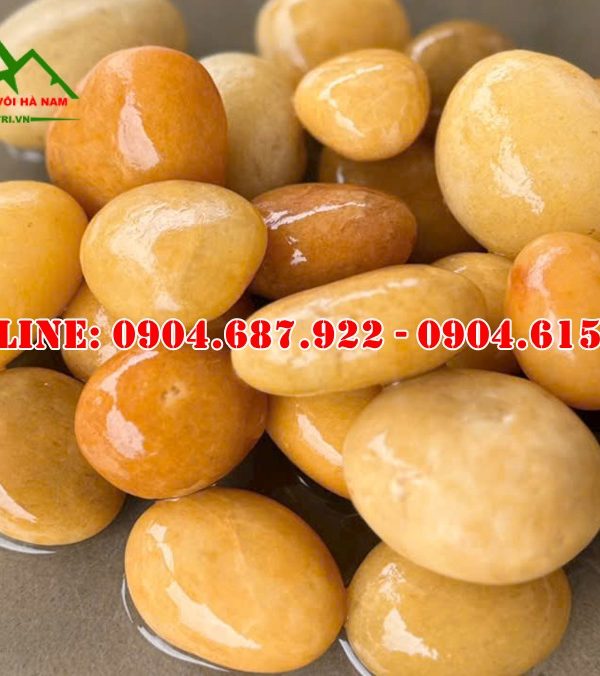 sỏi vàng tự nhiên trang trí