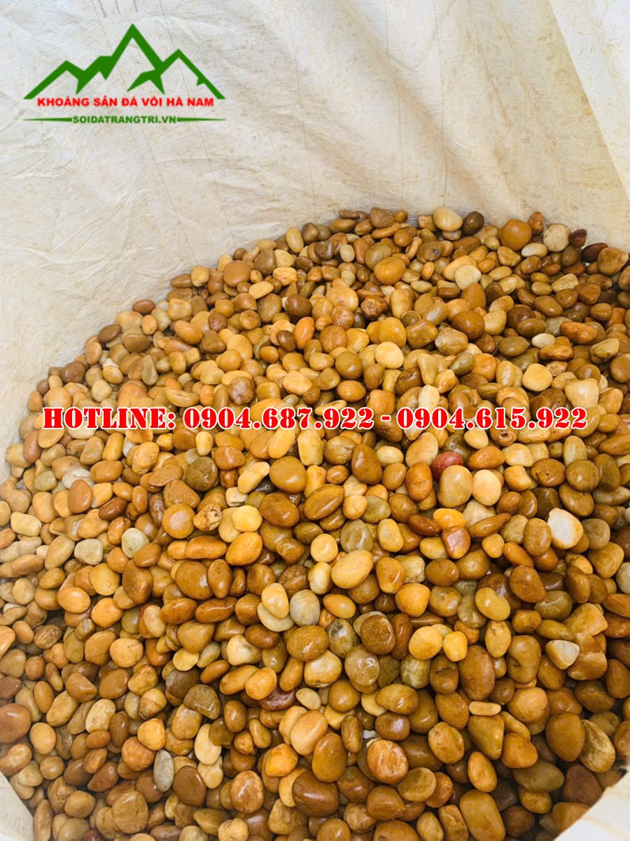 mẫu sỏi vàng rải sân vườn