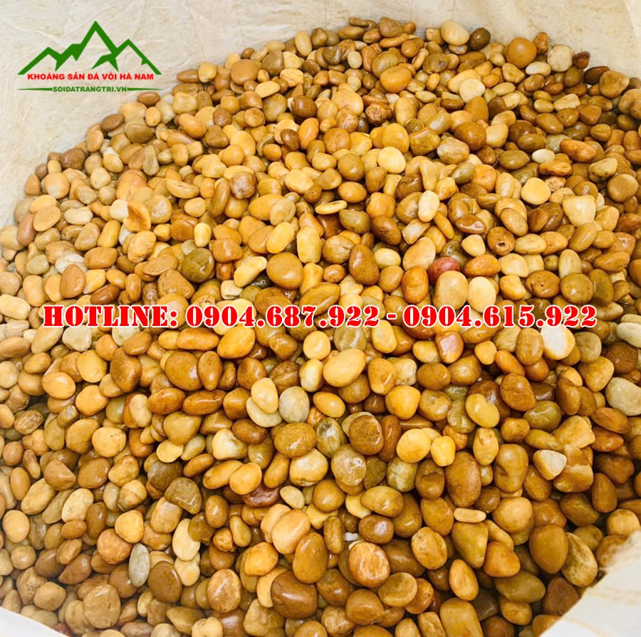 sỏi vàng rải sân vườn đẹp