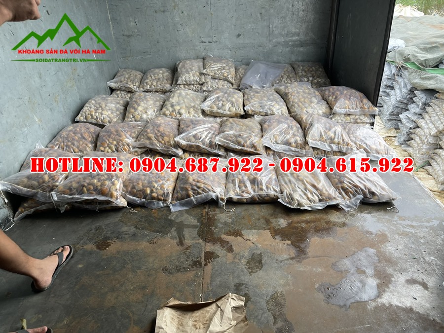 phân phối sỏi trang trí