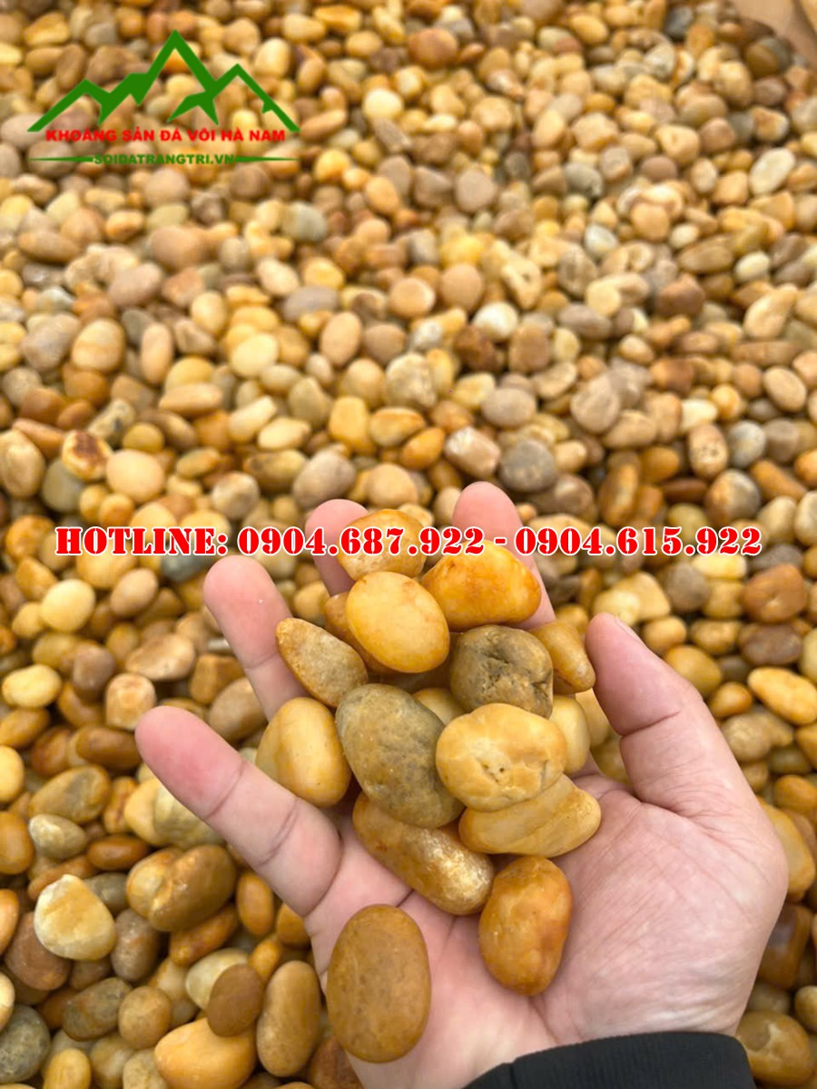 bán sỏi vàng mini rải sân vườn