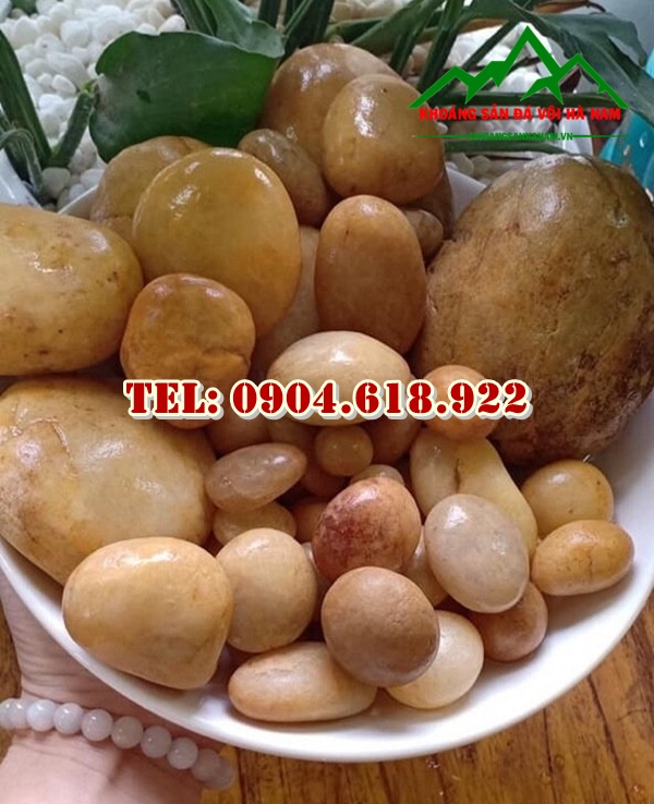 khai-thac-va-phan-phoi-cuoi-tu-nhien-gia-re (2)