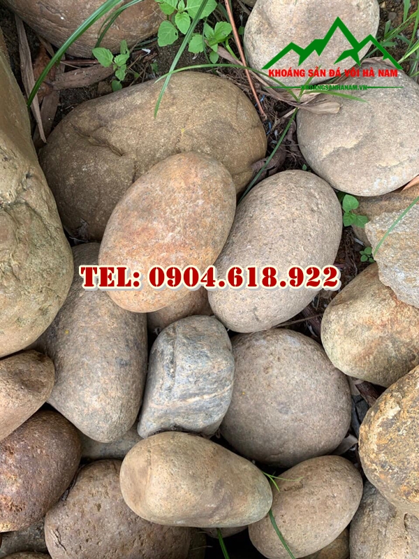 khai-thac-va-phan-phoi-cuoi-tu-nhien-gia-re (4)