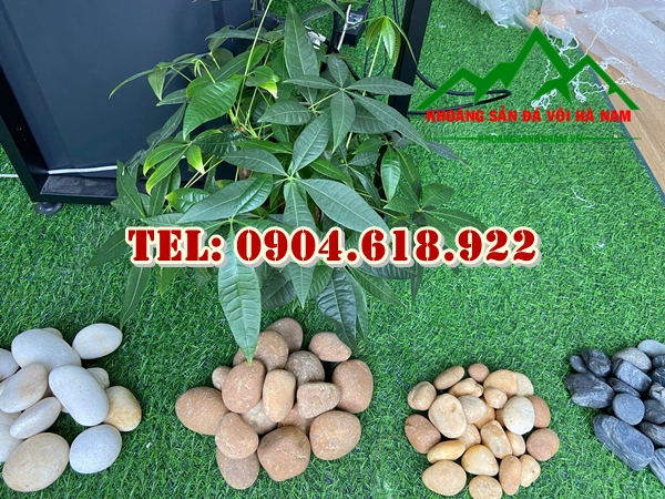 khai-thac-va-phan-phoi-cuoi-tu-nhien-gia-re (1)