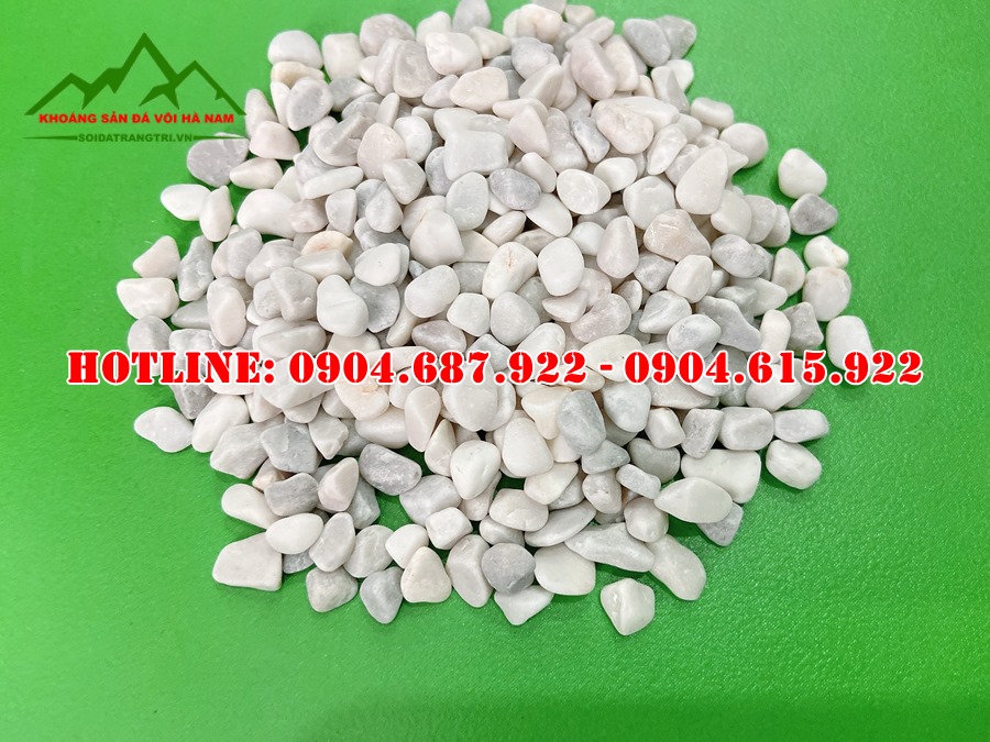 mẫu sỏi rửa màu trắng